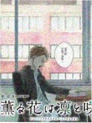 城市漫游记 草莓视频懂你更多旅行综艺